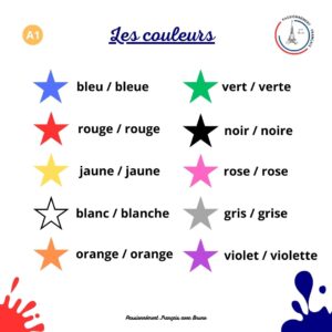 Read more about the article Les couleurs