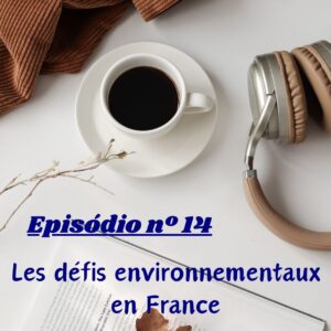 Read more about the article Les défis environnementaux