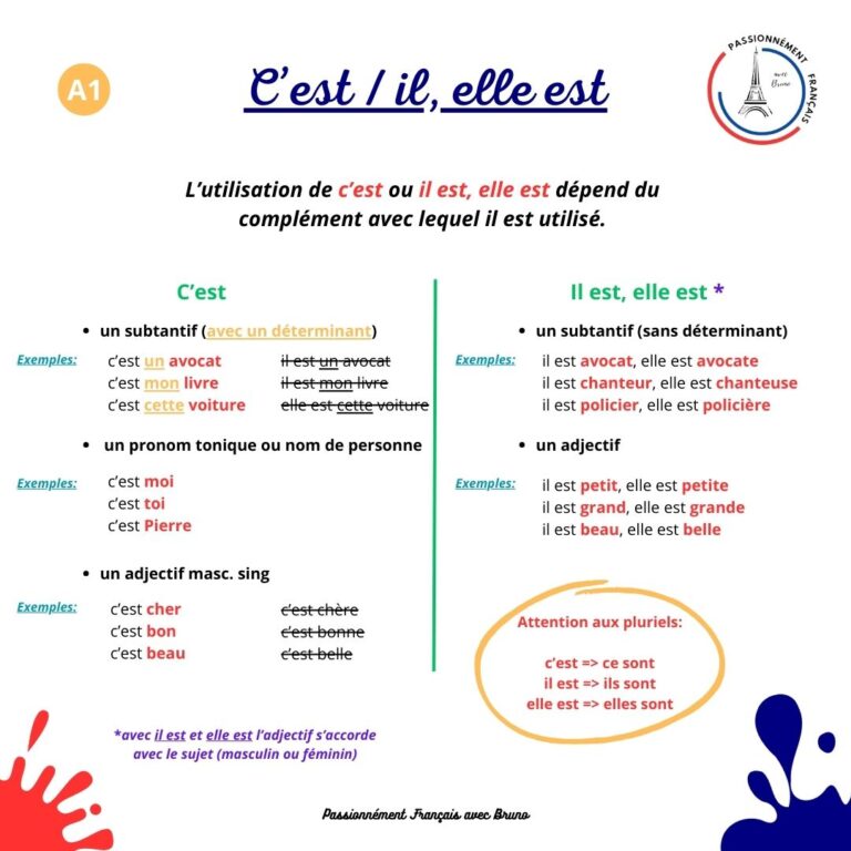Read more about the article C’est – il est, elle est