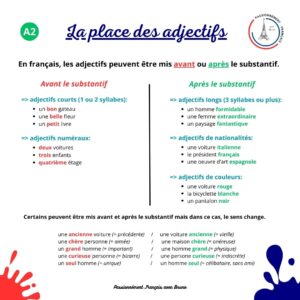 Read more about the article La place des adjectifs