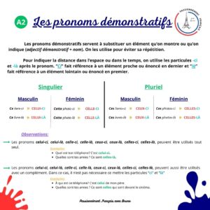 Read more about the article Les pronoms démonstratfis