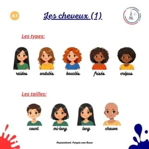 Read more about the article Les cheveux