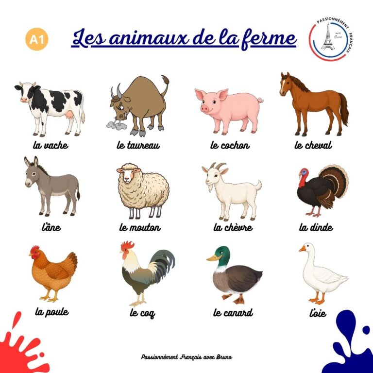 Read more about the article Les animaux de la ferme
