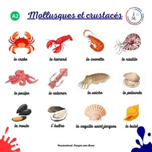 Read more about the article Les mollusques et crustacés