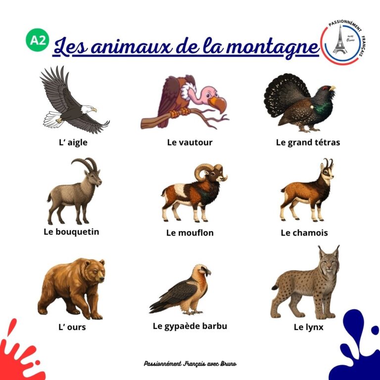Read more about the article Les animaux de la montagne