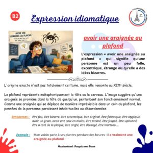 Read more about the article Avoir une araignée au plafond