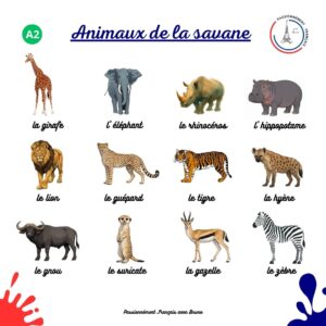 Read more about the article Les animaux de la savane