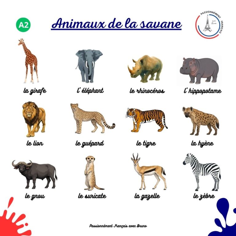 Read more about the article Les animaux de la savane