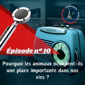 Read more about the article Pourquoi les animaux occupent-ils une place importante dans nos vies?