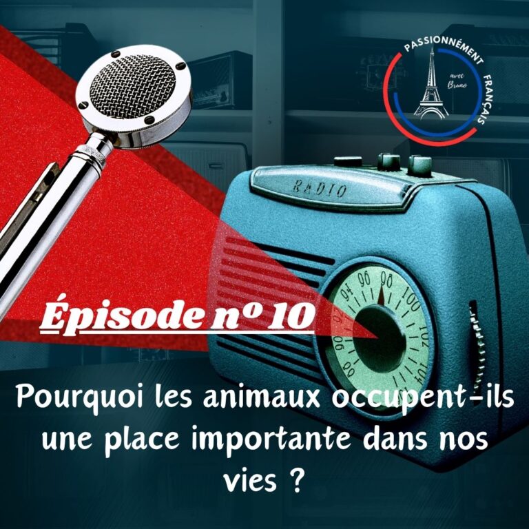 Read more about the article Pourquoi les animaux occupent-ils une place importante dans nos vies?